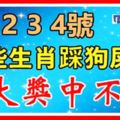 8月234號，這些生肖踩狗屎運！橫財大發800萬！