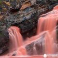 加拿大驚現粉色瀑布：1年只出現2個小時，怎麼拍到的？