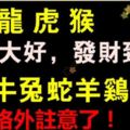 鬼節，這些生肖卻能在此兇運避開災禍。運勢大好，發財致富！