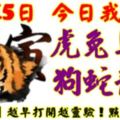 8月15日，今日我最旺！虎兔馬羊狗蛇龍豬！【33888】越早打開越靈驗！點個讚吧！