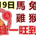 8月19日生肖運勢_馬、兔、豬大吉