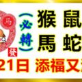 8月21日生肖運勢_猴、鼠、雞大吉