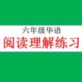 六年級華語——閱讀理解練習