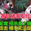 【蛇咬死2男案】生還者目睹事發經過！撥弄蛇窩招殺身之禍，蛇群攻擊根本無法反抗！