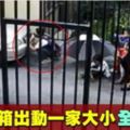 男子偷取轎車電箱　妻兒竟在旁等候把風