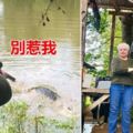 史上最愛記仇！「養的馬被鱷魚吃掉」73歲阿嬤足足記恨3年…一槍把牠解決