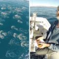 這個阿伯的無人機在海洋上空拍到「超珍貴的一幕」，上萬只海洋生物躍出水面讓他一生難忘！
