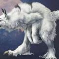 心理學：哪一頭狼最厲害？測了以後可以看出你以後的社會地位如何