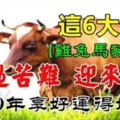 這6大生肖，熬過苦難貧窮迎來了好運，2019年享好運得好福