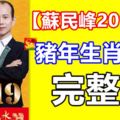 【蘇民峰2019年】豬年生肖運程完整版