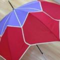心理測試：假如下雨天，你撐哪把傘遮雨？測出你最厲害的能力