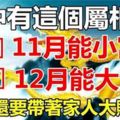 家有這個生肖在，11月小富，12月大發，年底帶著家人大賺一筆的是你嗎