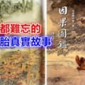 靈異故事：一輩子都難忘的動物投胎真實故事，因果不虛！