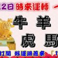 11月22日時來運轉一路發，牛羊猴虎馬兔，88秒內打開，好運跟著來『16888』