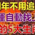 明年不用追財，「五大生肖」財運會自動找上門，有你嗎？