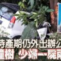 待產期仍外出辦公車撞樹少婦一屍兩命