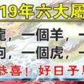 2019年六大屬相：龍，羊，雞，狗，虎，猴！恭喜恭喜！好日子馬上來