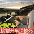 高速衝撞轎車野鹿直接割開車頂慘死