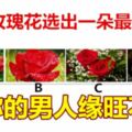 4朵玫瑰花選出一朵最美的，測你的男人緣旺不旺