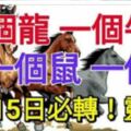 2月15日必轉：一個龍、一個牛、一個鼠、一個馬！