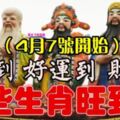 4月7號開始，福到財到好運到，這些生肖旺到爆