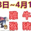 12生肖一周運勢（4月8日~4月14日）