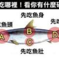 心理測驗：從你吃魚的部位，看出你有什麼「硬脾氣」？