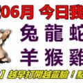 18號06月，今日我最旺！兔龍蛇馬羊猴雞狗！【16188】越早打開越靈驗！點個讚吧！