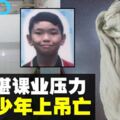 疑不堪課業壓力　少年浴室上吊亡