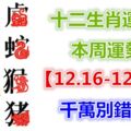 十二生肖運勢：本周運勢【12.16-12.22】千萬別錯失！