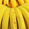 香蕉那麼甜，糖尿病患者可以天天吃嗎？營養師：適量吃就沒問題