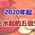 2020年起，事業大旺，財富滿倉，風生水起的五個生肖