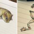 翻開插畫家筆記本好萌～　動物們「橫線上爬梯」Q到能出畫冊啊♡