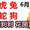 6月16日生肖運勢_馬、虎、兔順順利利