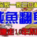 9月鹹魚翻身的生肖，大運連走十年不間斷