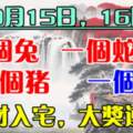 9月15日，16日橫財入宅，大獎連中的生肖