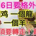 10月6日要格外留心了，一個雞，一個龍，一個羊，一個豬