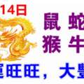 10月14日生肖運勢_鼠，蛇，龍大吉