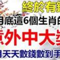 10月底意外中大獎的生肖，11月天天數錢