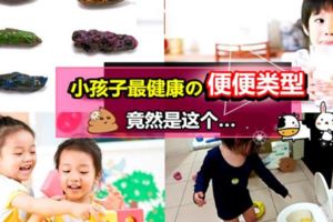 ◤一定要懂！◢90%的父母都不知道原來小孩最健康的大便『形狀+硬度』是「這樣」的！爸媽們，趕緊mark起來哦~