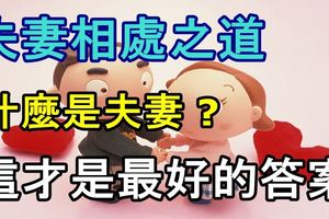 「夫妻相處之道，什麼是夫妻，這才是最好的答案」