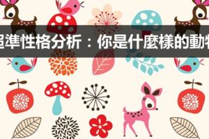 超準性格分析！你是哪種動物？準到讓人頭皮發毛…