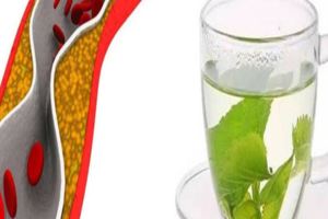 甘油三酯的死對頭找到了，每天喝點，血管通暢，血脂不高