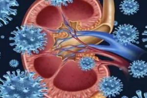 不想腎早衰，千萬別這麼吃！飲食的4大誤區，你是不是都中槍？