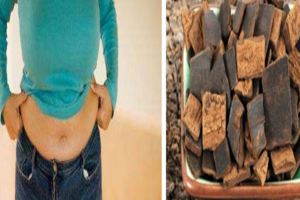 有一種中藥叫「杜仲」，能減脂、降壓，最適合虛胖的人