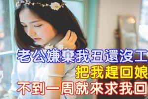 老公嫌棄我丑還沒工作，把我趕回娘家，不到一周就來求我回去