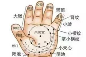 長壽密碼，就在手上！建議珍藏