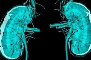 這六個強腎動作，在家就能做，簡直就是懶人必備！