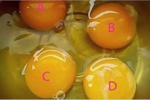 4個雞蛋你認為哪個才是土雞蛋？測出你生活中最缺什麼！