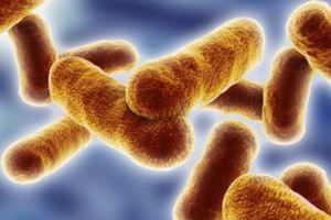 超級細菌再次襲來！專家警告：再不戒掉抗生素，神仙都救不了你！